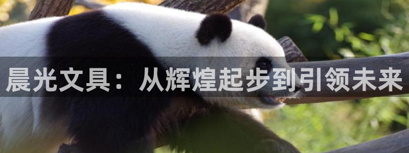 ag九游會官方登陸：晨光文具：從輝煌起步