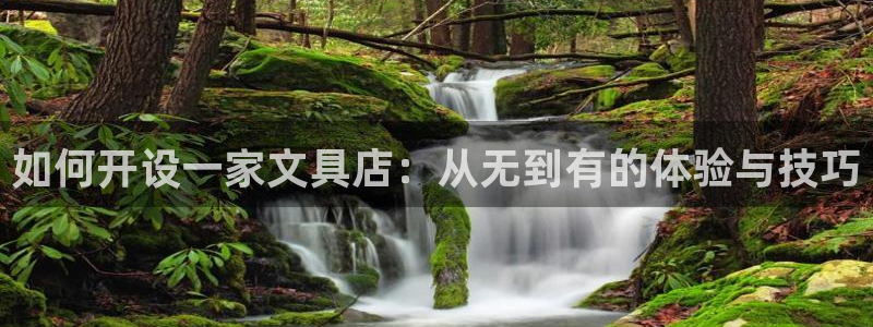 九游會(huì)黑款：如何開設(shè)一家文具店：從無(wú)到有