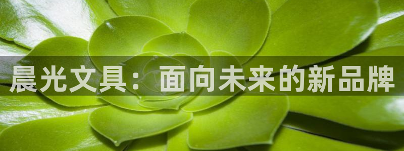 九游會(huì)郵箱：晨光文具：面向未來的新品牌