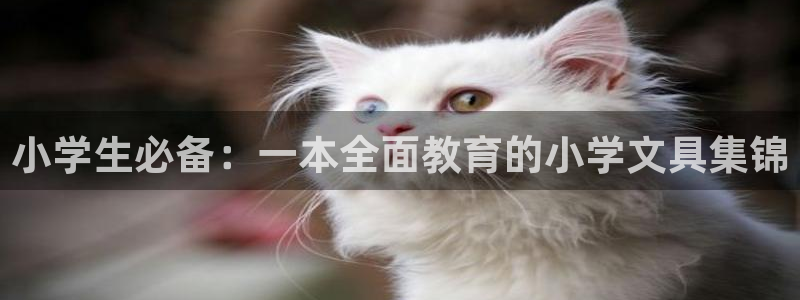 九游會(huì)手機(jī)app：小學(xué)生必備：一本全面教