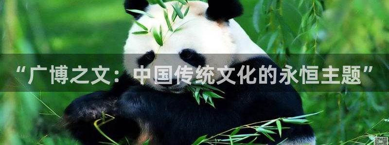 九游會(huì)阿里28：“廣博之文：中國(guó)傳統(tǒng)文化