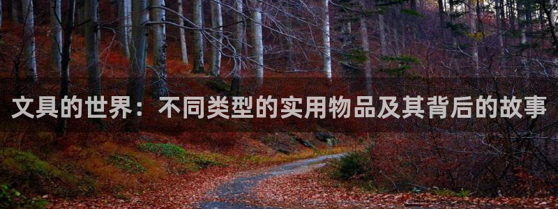 九游為何會(huì)測(cè)出病毒：文具的世界：不同類型