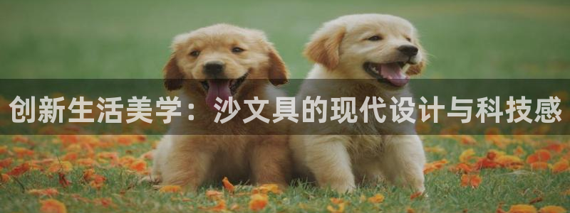 九游會(huì)倒閉：創(chuàng)新生活美學(xué)：沙文具的現(xiàn)代設(shè)