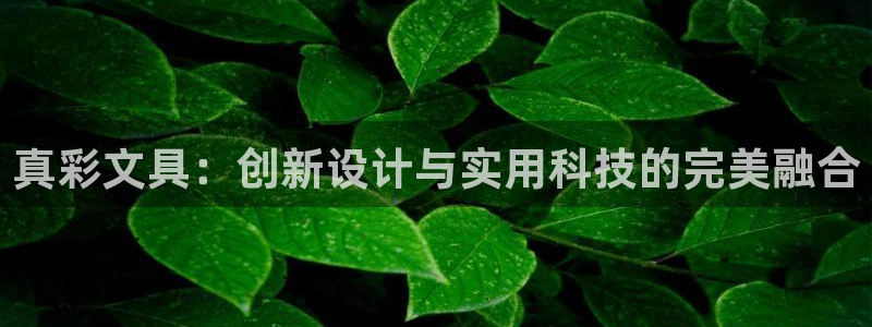 九游會(huì)登錄最強(qiáng)版本答案：真彩文具：創(chuàng)新設(shè)
