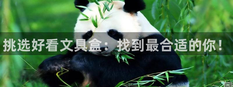 九游會(huì)官網(wǎng)入口：挑選好看文具盒：找到最合