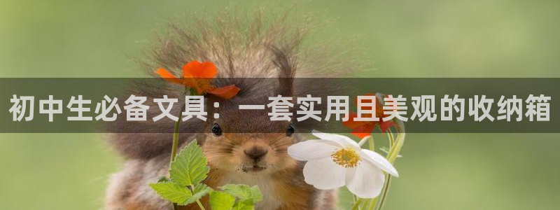 j9九游會(huì)舊版：初中生必備文具：一套實(shí)用