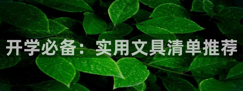 九游會數(shù)字貨幣平臺：開學必備：實用文具清