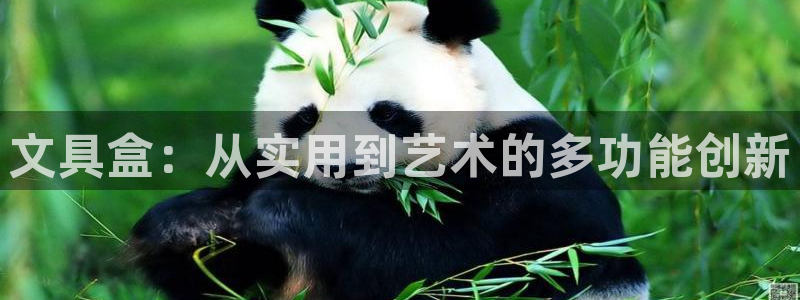 j9九游會官方網(wǎng)站國際：文具盒：從實用到