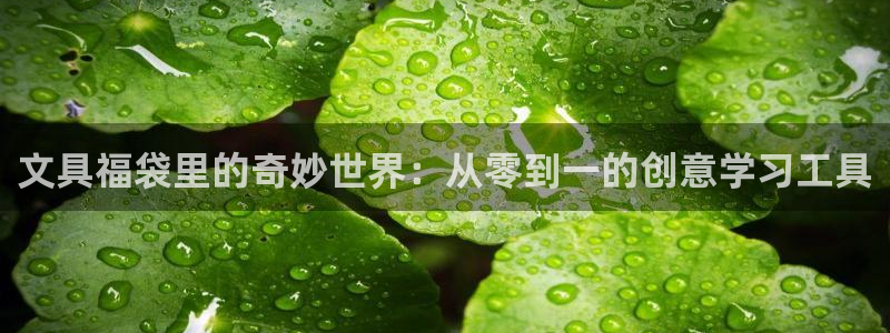 九游會(huì)ag網(wǎng)址大全：文具福袋里的奇妙世界