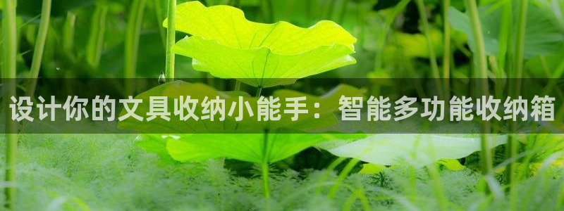 九游會(huì)倒閉了嗎：設(shè)計(jì)你的文具收納小能手：